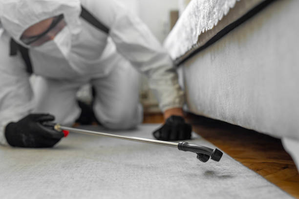 Professional Termite Control technician working in Raymondville, TX